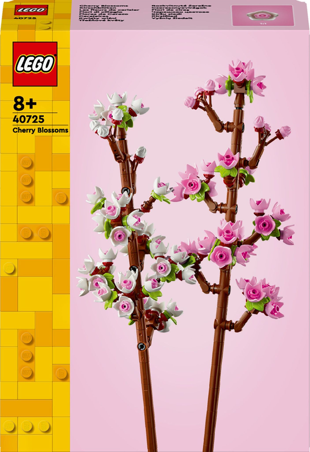 40725 Kirschblüten