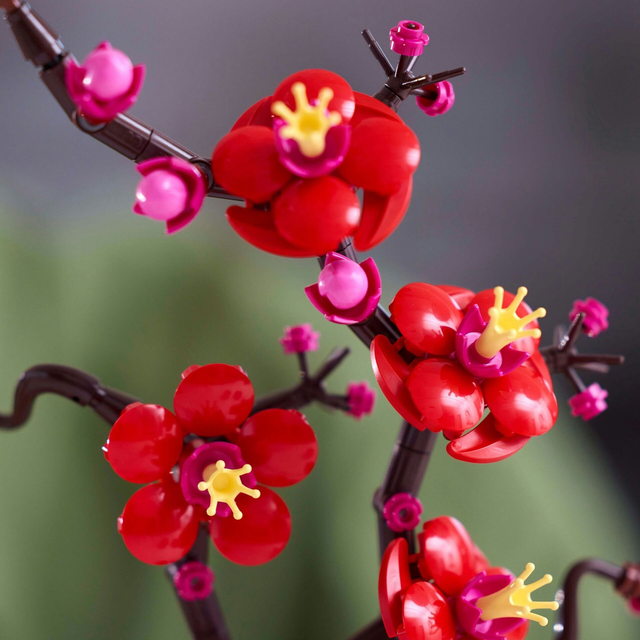 LGO Botanical Pflaumenblüte 10369
